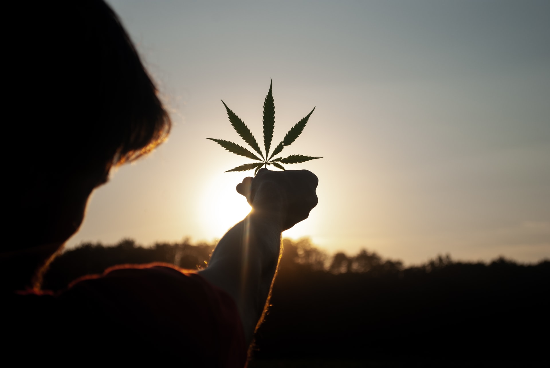 The Ins and Outs of THC Brands