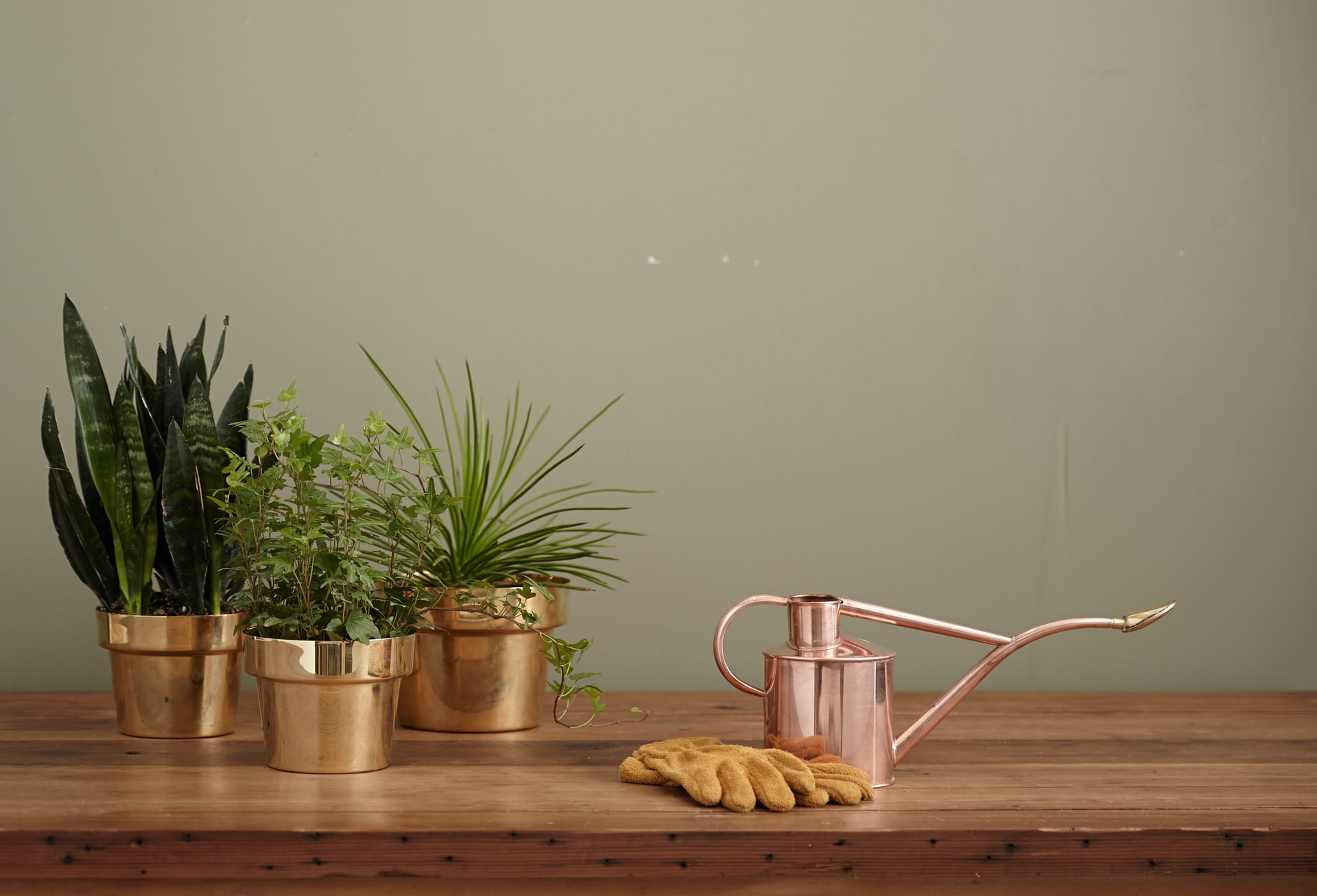 4 Ways To Improve Your Home’s Air Quality