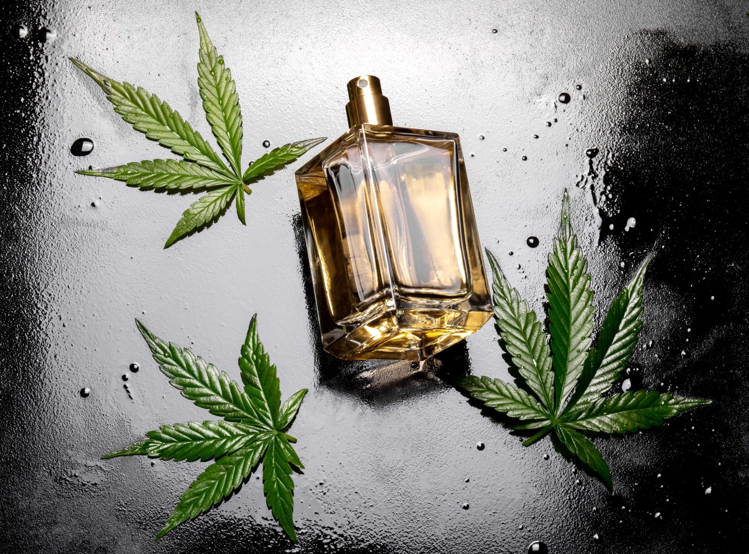 What Is CBD Spray and How Does It Work?