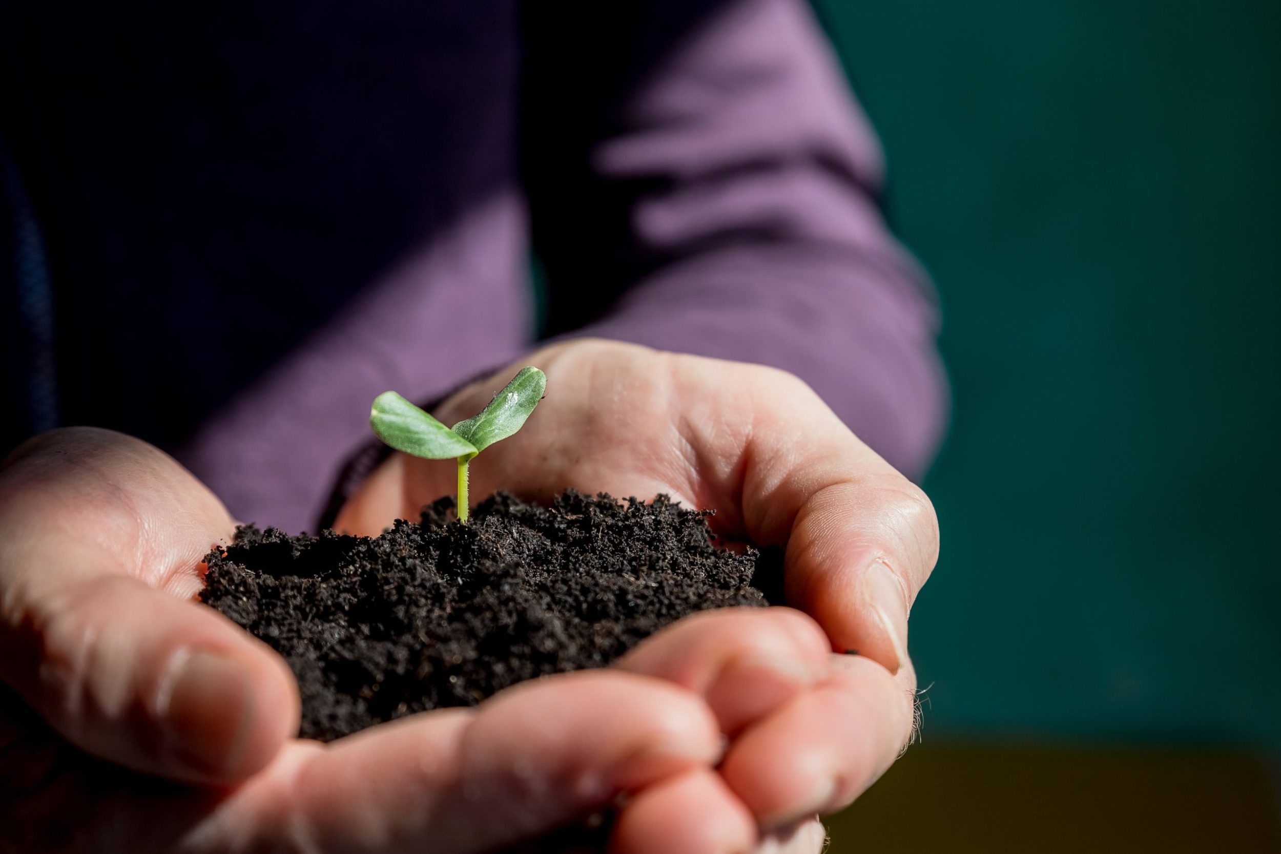 The Benefits Of Soil Remediation Services